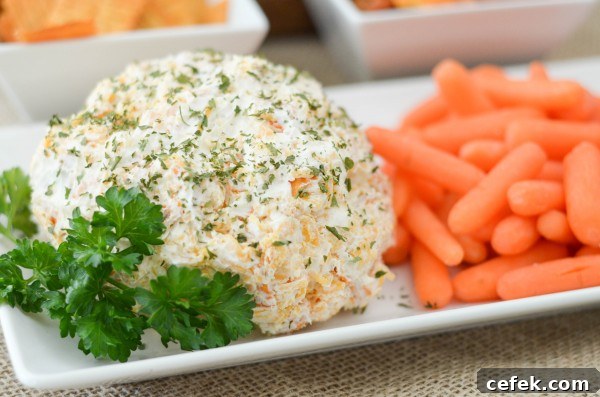 10 Must-Try Cheesy Recipes for Cheese Lovers 3 hot-and-spicy-cheese-ball-2