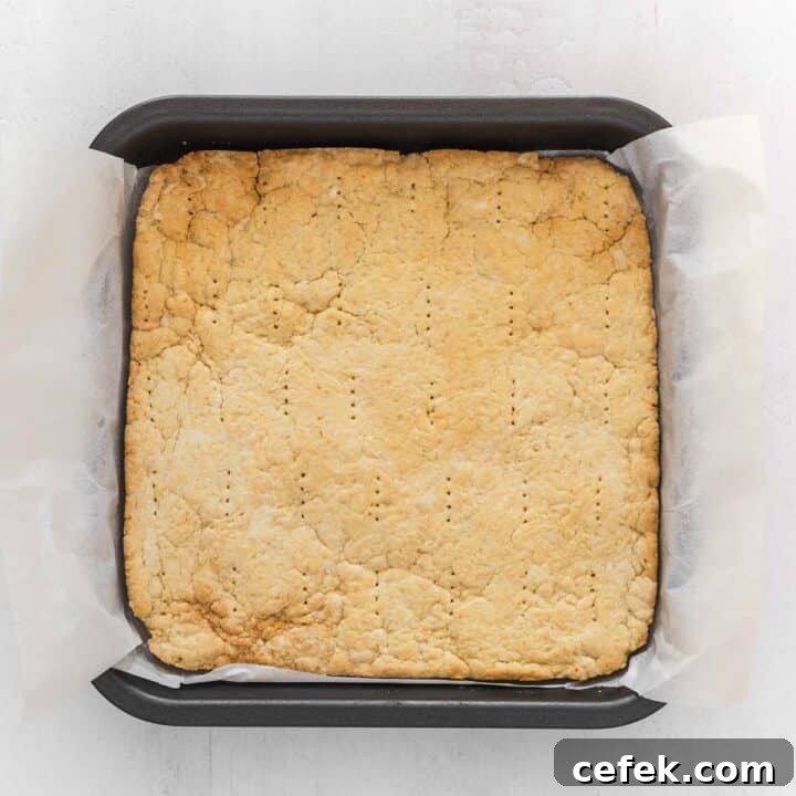 Tangy Vegan Lemon Bars with Shortbread Crust 9 pie crust just baked