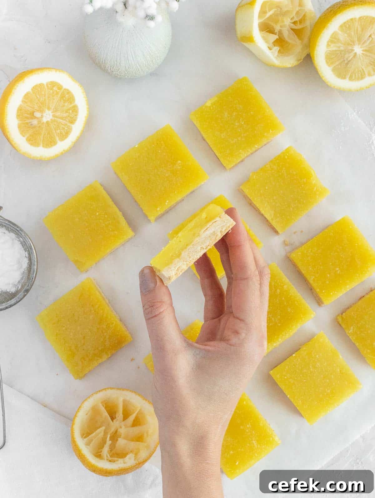 Tangy Vegan Lemon Bars with Shortbread Crust 3 Louise holding a vegan lemon bars