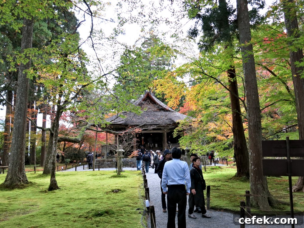 Ohara, Japan: Complete Travel Guide to Sights, Food & Culture 8 img 35425 20