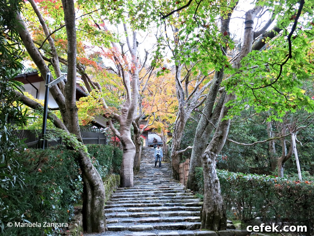 Ohara, Japan: Complete Travel Guide to Sights, Food & Culture 10 img 35425 26