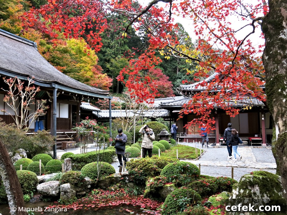 Ohara, Japan: Complete Travel Guide to Sights, Food & Culture 11 img 35425 29