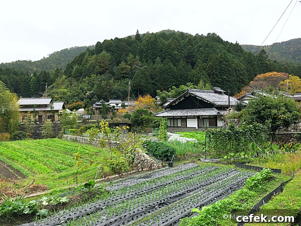 Ohara, Japan: Complete Travel Guide to Sights, Food & Culture 12 img 35425 36