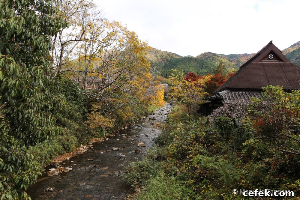 Ohara, Japan: Complete Travel Guide to Sights, Food & Culture 13 img 35425 41