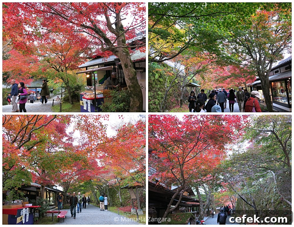 Ohara, Japan: Complete Travel Guide to Sights, Food & Culture 5 img 35425 5