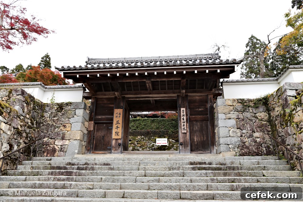 Ohara, Japan: Complete Travel Guide to Sights, Food & Culture 6 img 35425 8