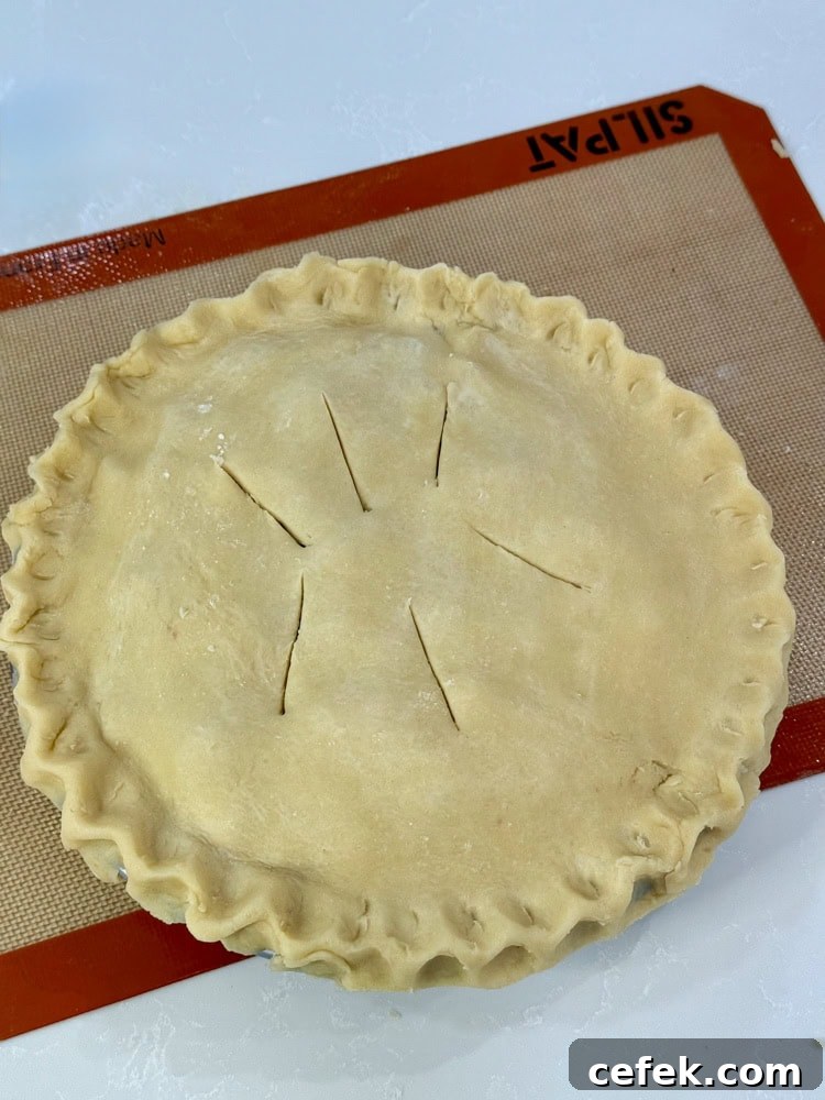 Classic Strawberry Rhubarb Pie Recipe 12 unbaked strawberry and rhubarb pie with vent slits