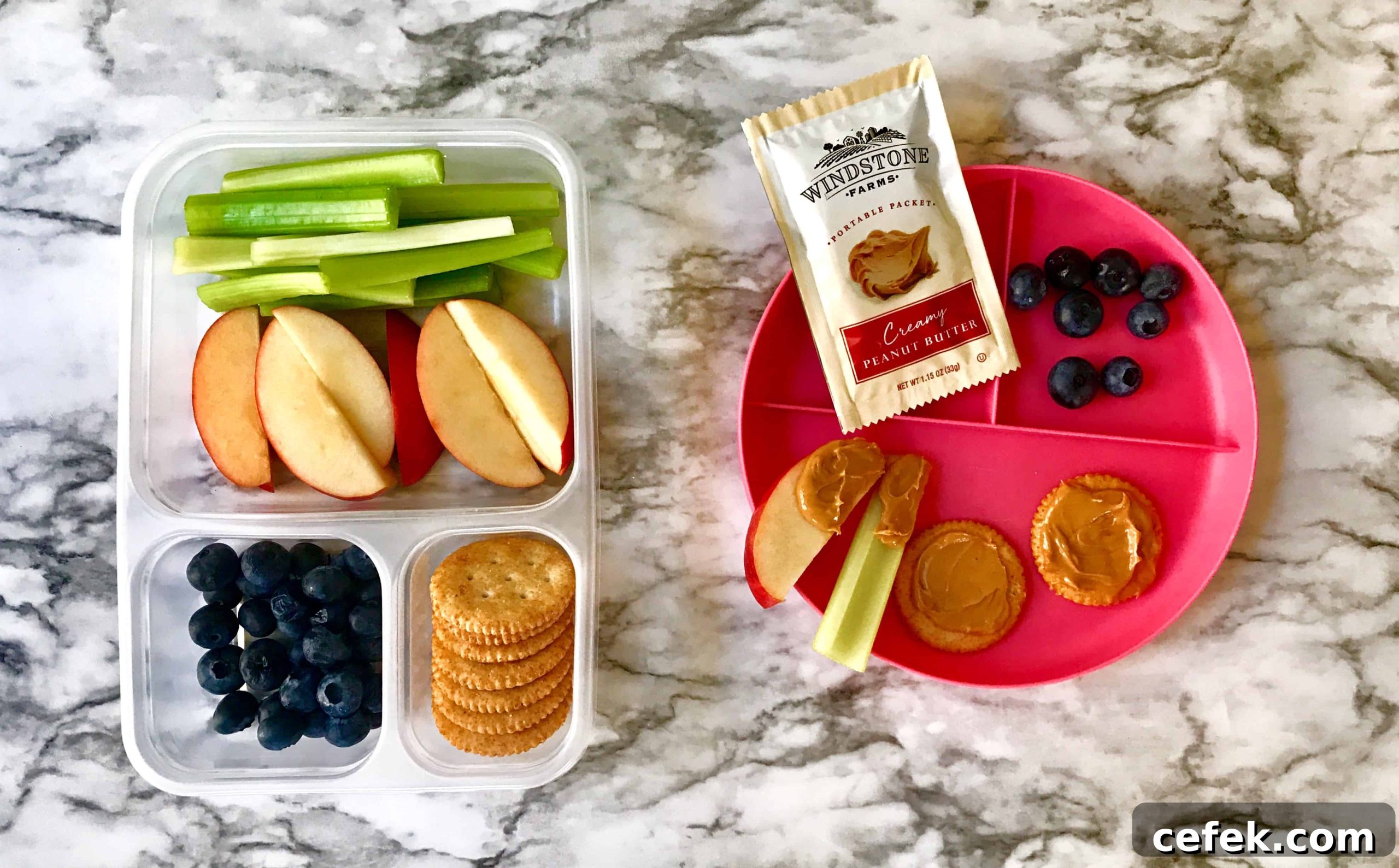 Quick School Lunch Prep: Nutritious Ideas for Busy Days 6 easy school lunches