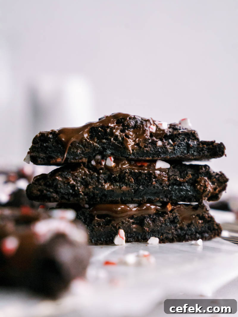 Chewy Double Chocolate Peppermint Cookies Recipe 2 double chocolate peppermint cookies