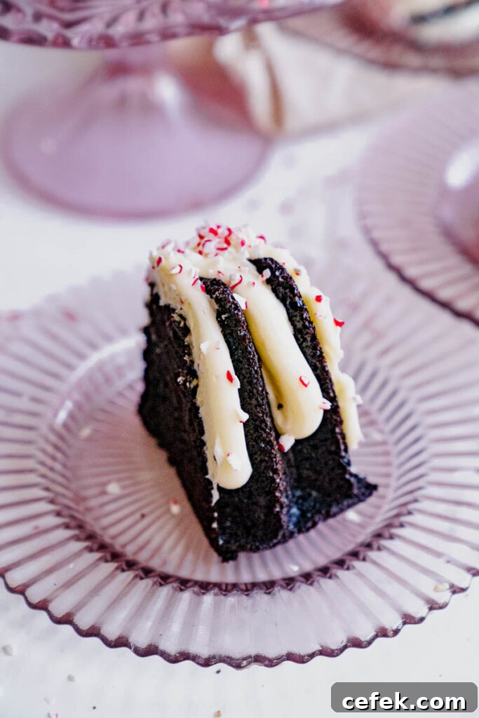 Chewy Double Chocolate Peppermint Cookies Recipe 11 chocolate peppermint bundt inspiration