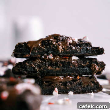 Chewy Double Chocolate Peppermint Cookies Recipe 14 double chocolate peppermint cookies
