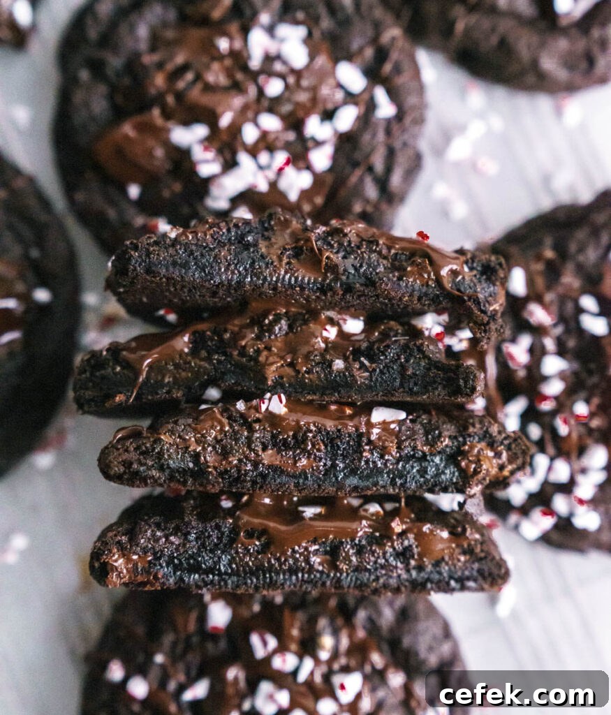 Chewy Double Chocolate Peppermint Cookies Recipe 16 cookies close up