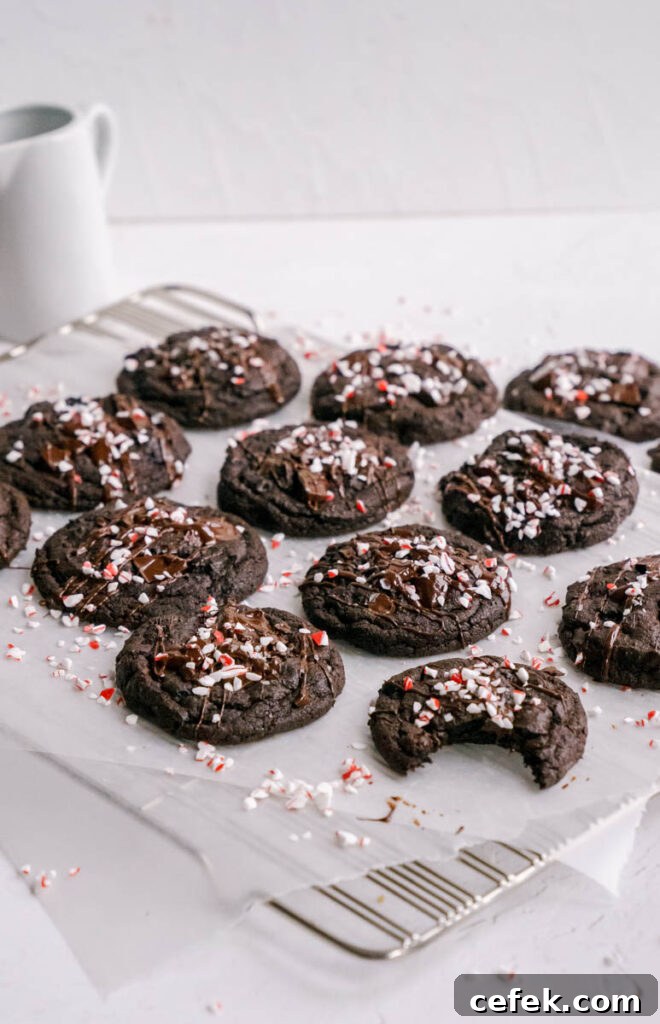 Chewy Double Chocolate Peppermint Cookies Recipe 4 close up double chocolate peppermint cookie