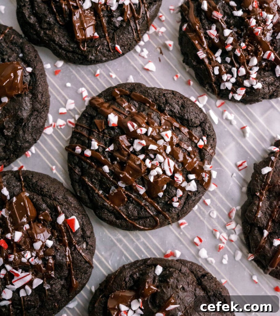 Chewy Double Chocolate Peppermint Cookies Recipe 6 mixing cookie dough