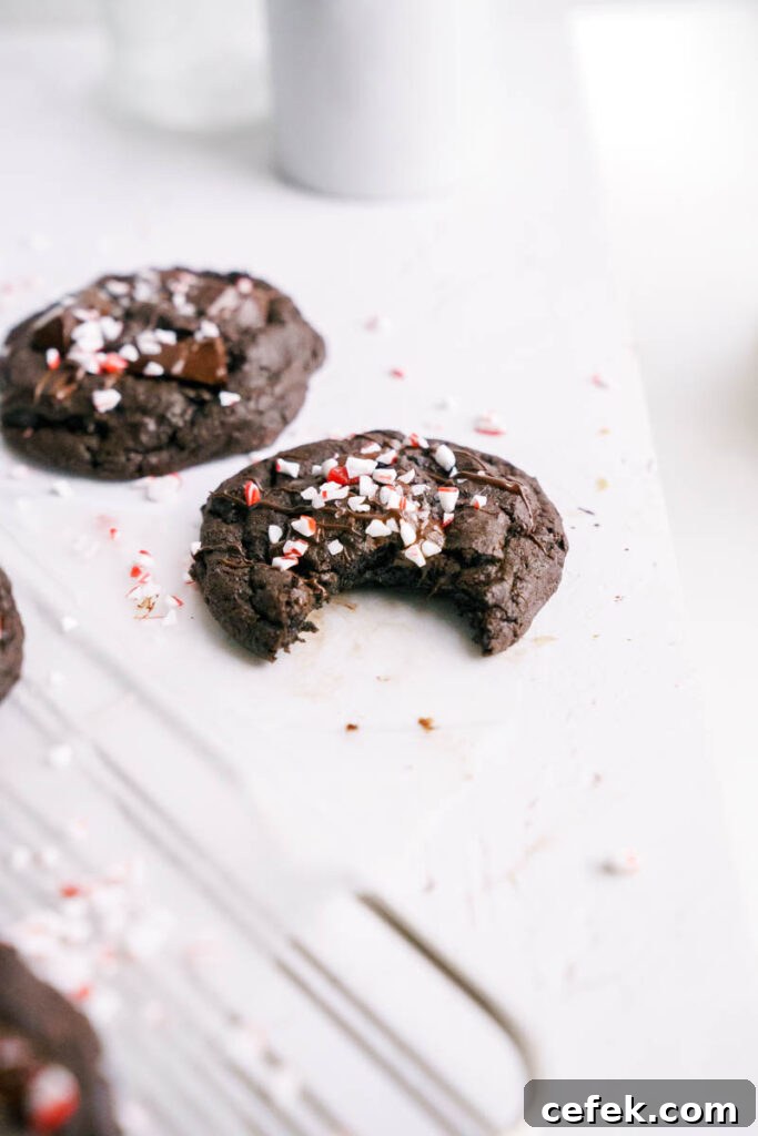 Chewy Double Chocolate Peppermint Cookies Recipe 7 scooped cookie dough
