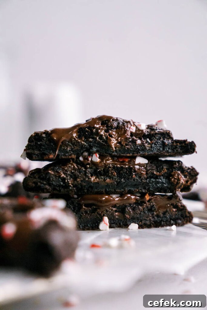 Chewy Double Chocolate Peppermint Cookies Recipe 8 cookies drizzled with chocolate