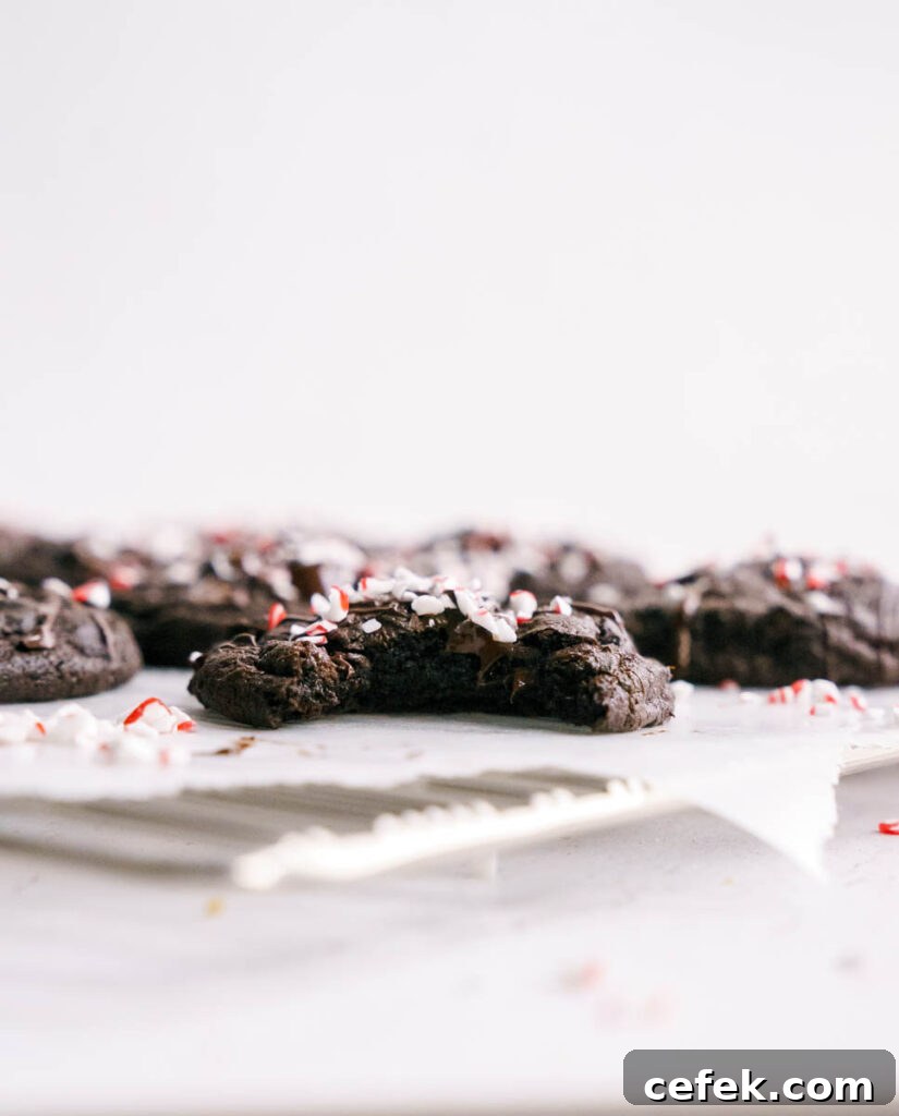 Chewy Double Chocolate Peppermint Cookies Recipe 9 cookies cooling