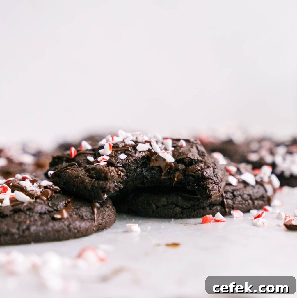 Chewy Double Chocolate Peppermint Cookies Recipe 10 holiday cookie plate